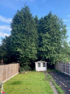 DOMESTIC TREE SERVICES DOMESTIC TREE SERVICES