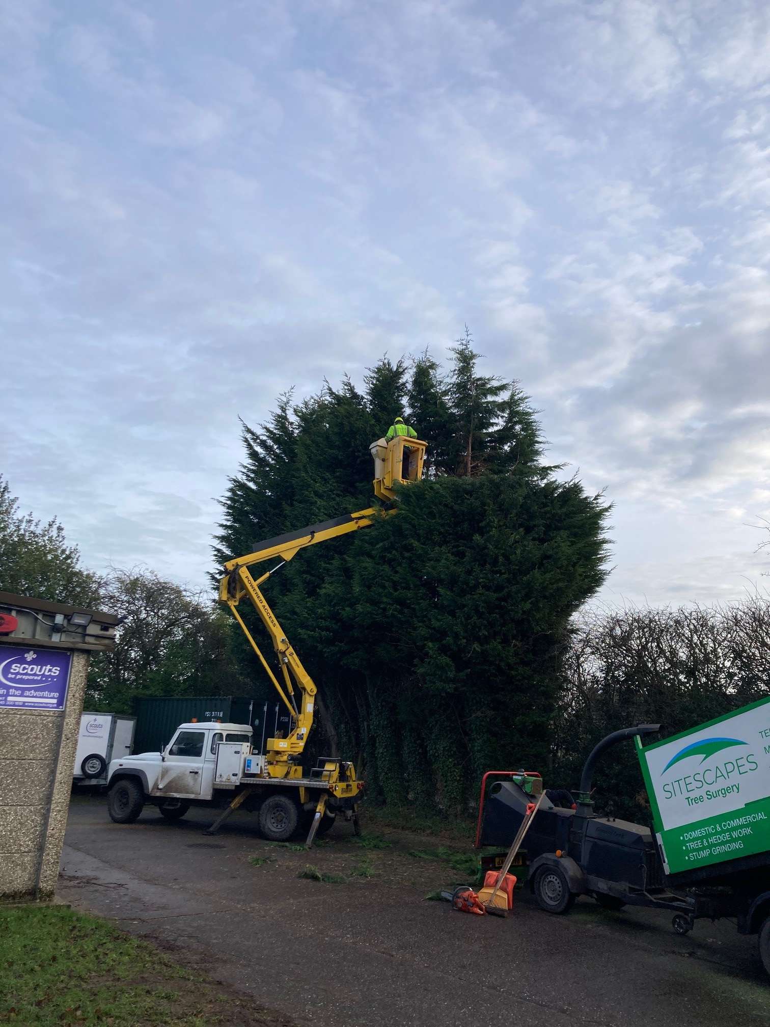 DOMESTIC TREE SERVICES DOMESTIC TREE SERVICES