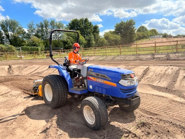 DOMESTIC TREE SERVICES